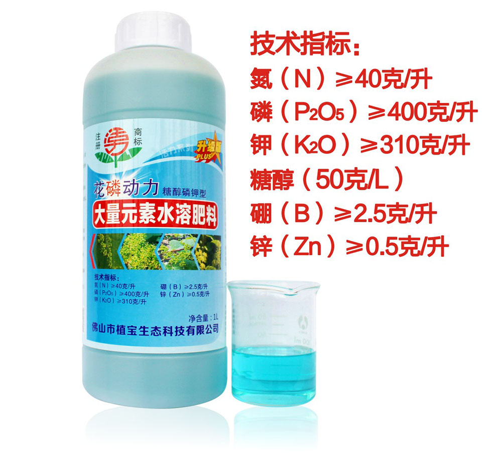 环球360