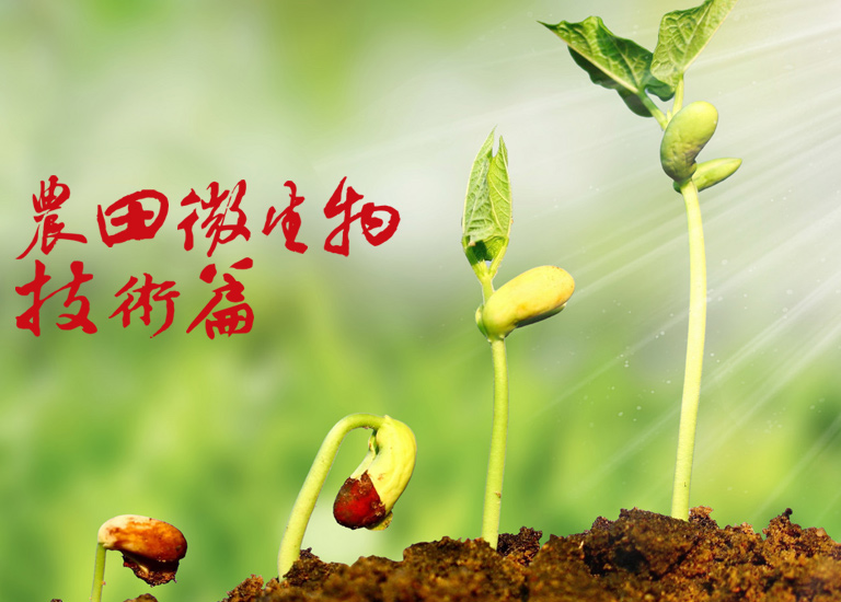 农用微生物菌剂和生物菌肥有什么区别？？？？？？