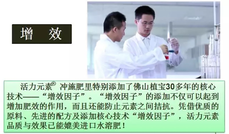 环球360