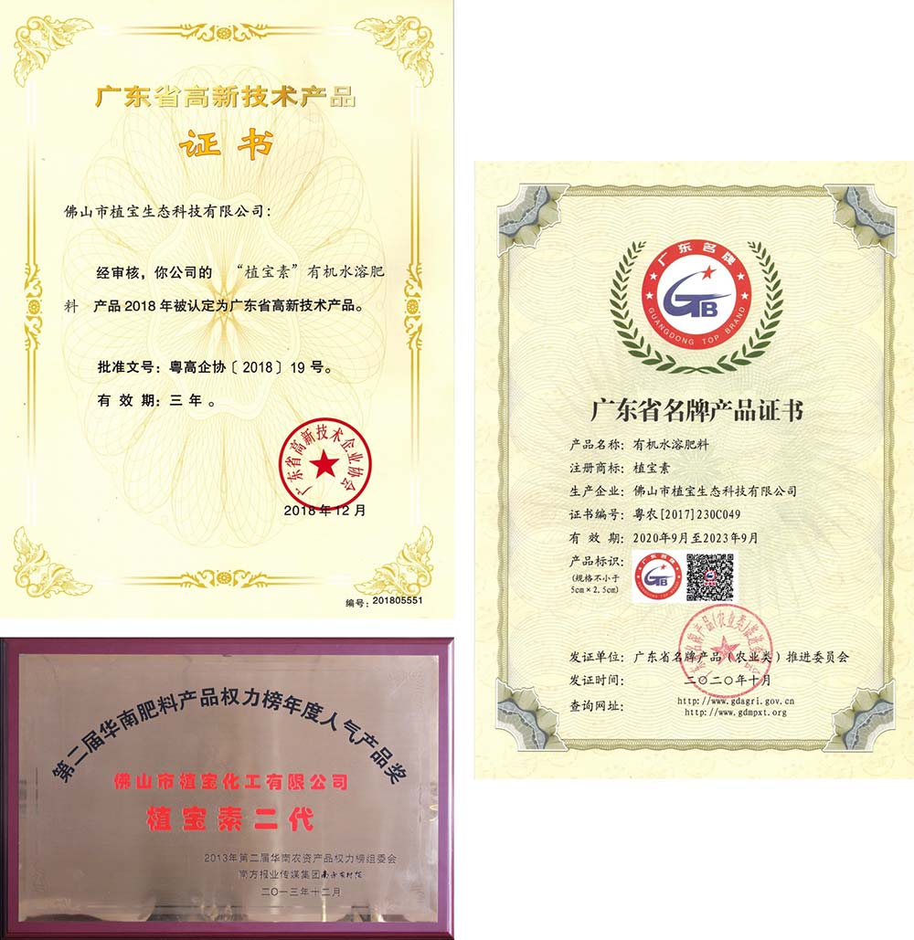 环球360