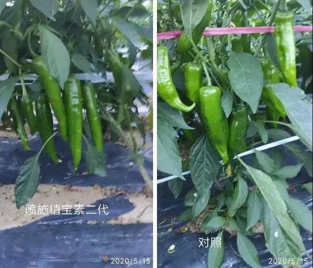 环球360