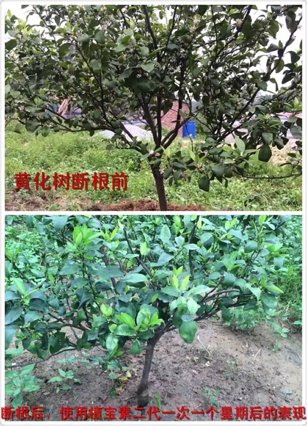 环球360