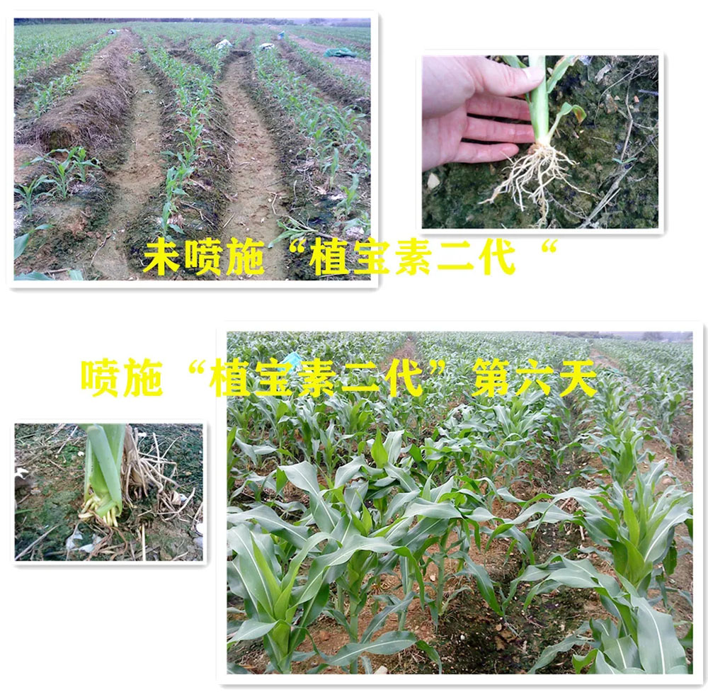 环球360
