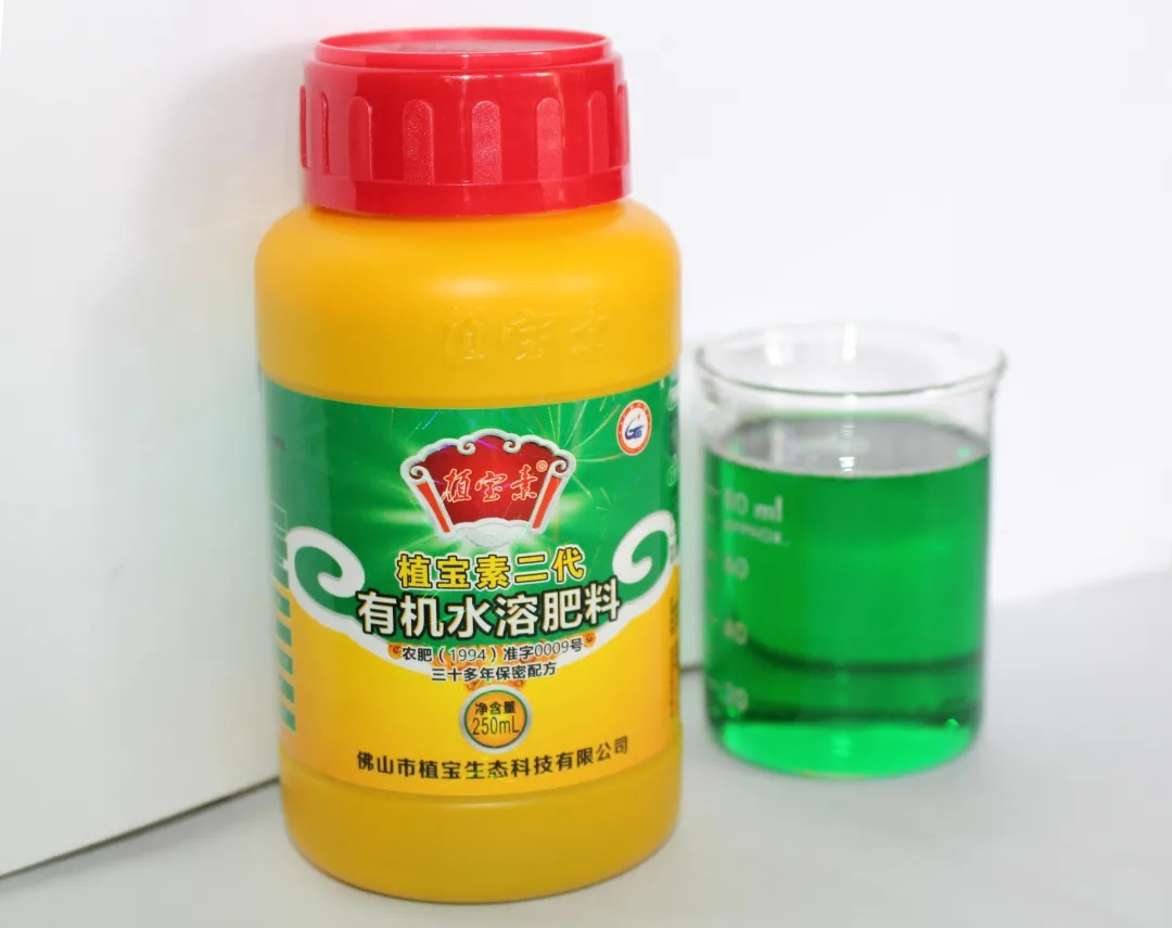 环球360