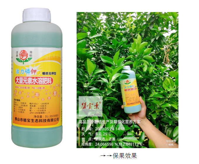 环球360