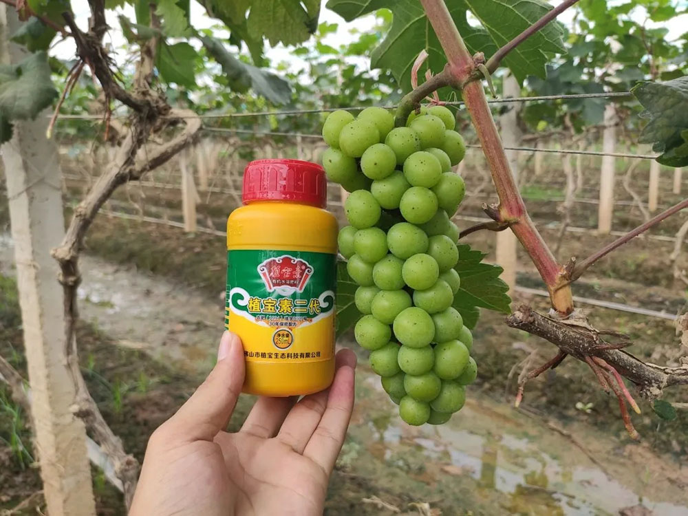 环球360