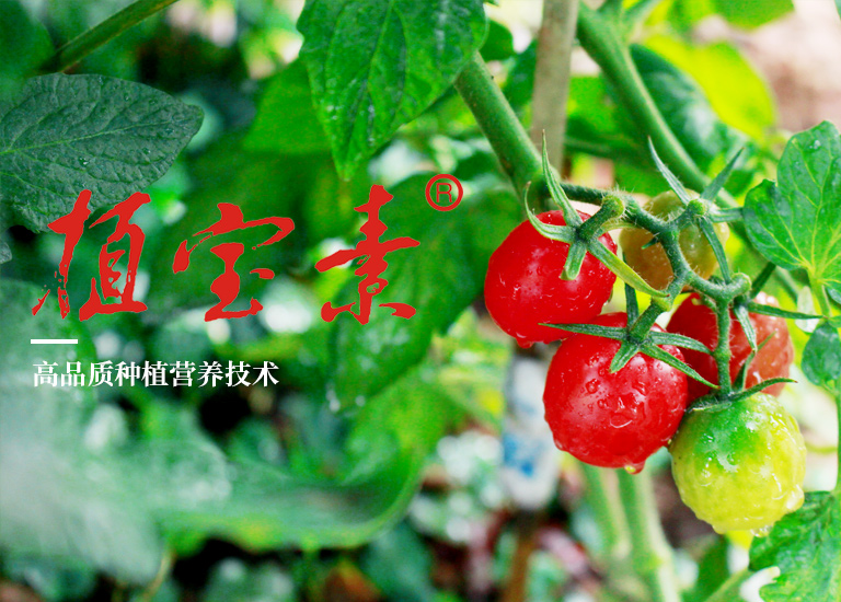 农用微生物菌剂的特点