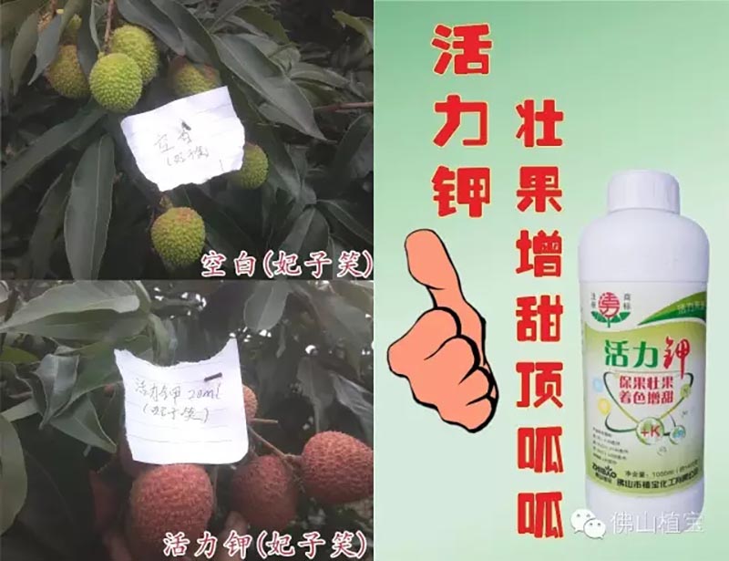 环球360
