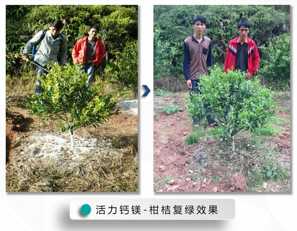 环球360